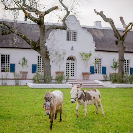 San Gabriel Homestead 서머싯웨스트 외부 사진