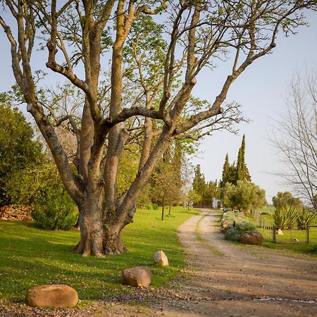 San Gabriel Homestead 서머싯웨스트 외부 사진