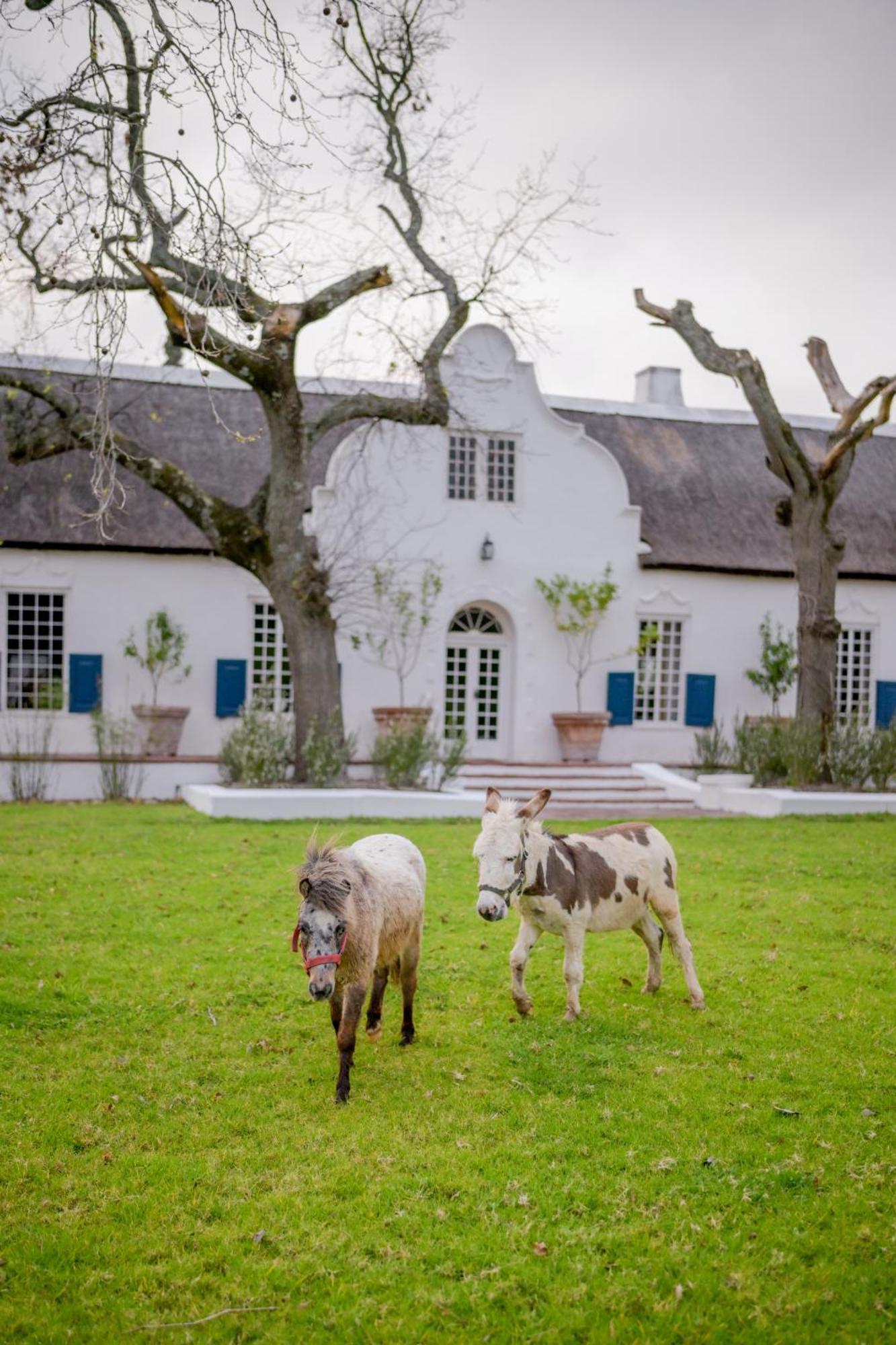 San Gabriel Homestead 서머싯웨스트 외부 사진