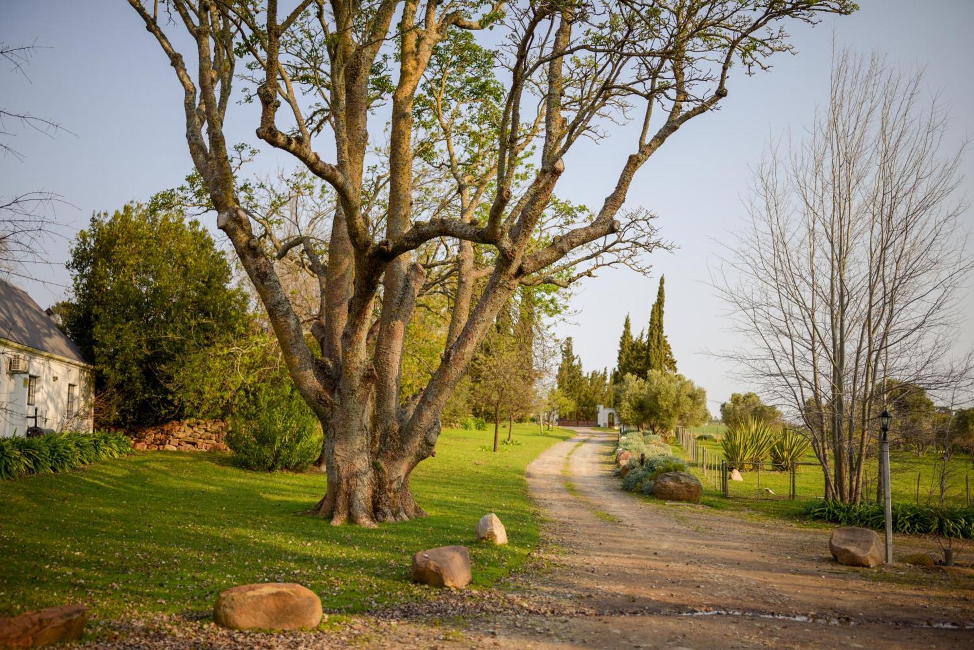 San Gabriel Homestead 서머싯웨스트 외부 사진