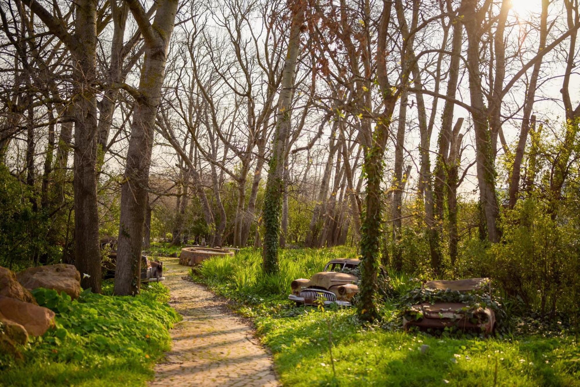 San Gabriel Homestead 서머싯웨스트 외부 사진